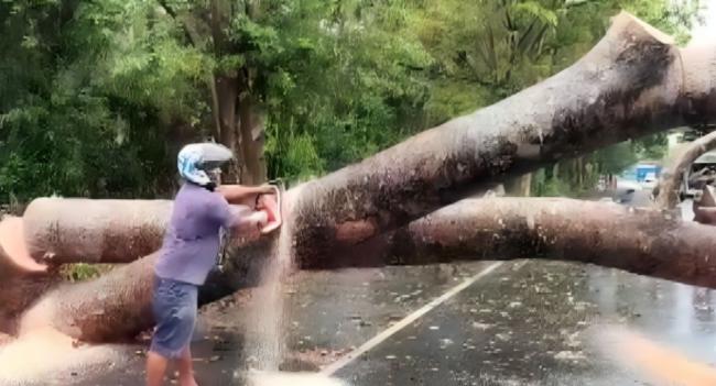 Heavy Rain Disrupts Traffic And Rail Services